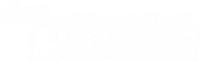 Destination Detroit