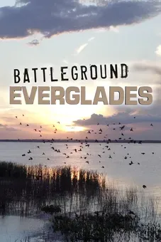 Battleground Everglades