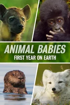 Animal Babies: First Year on Earth