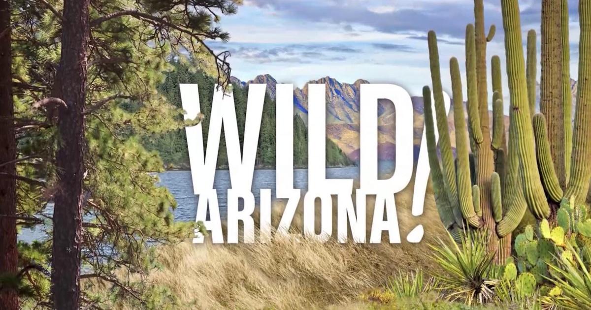 Wild Arizona | PBS