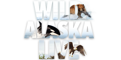 Wild Alaska Live