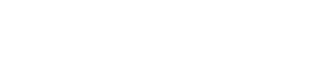 Baby Gorilla: The Four-Pound Legacy