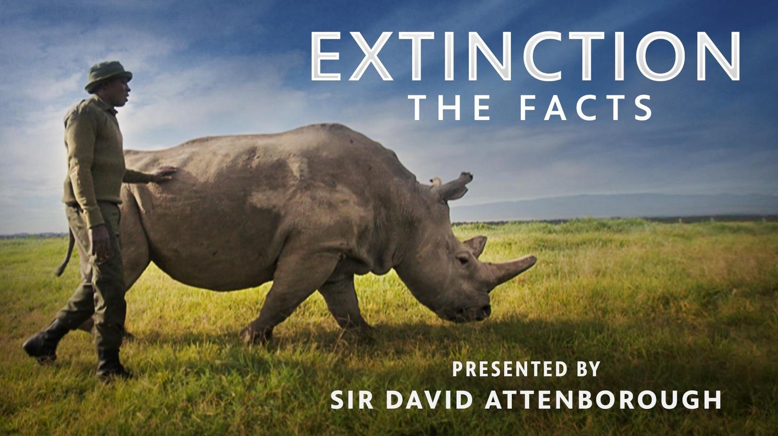 Extinction: The Facts