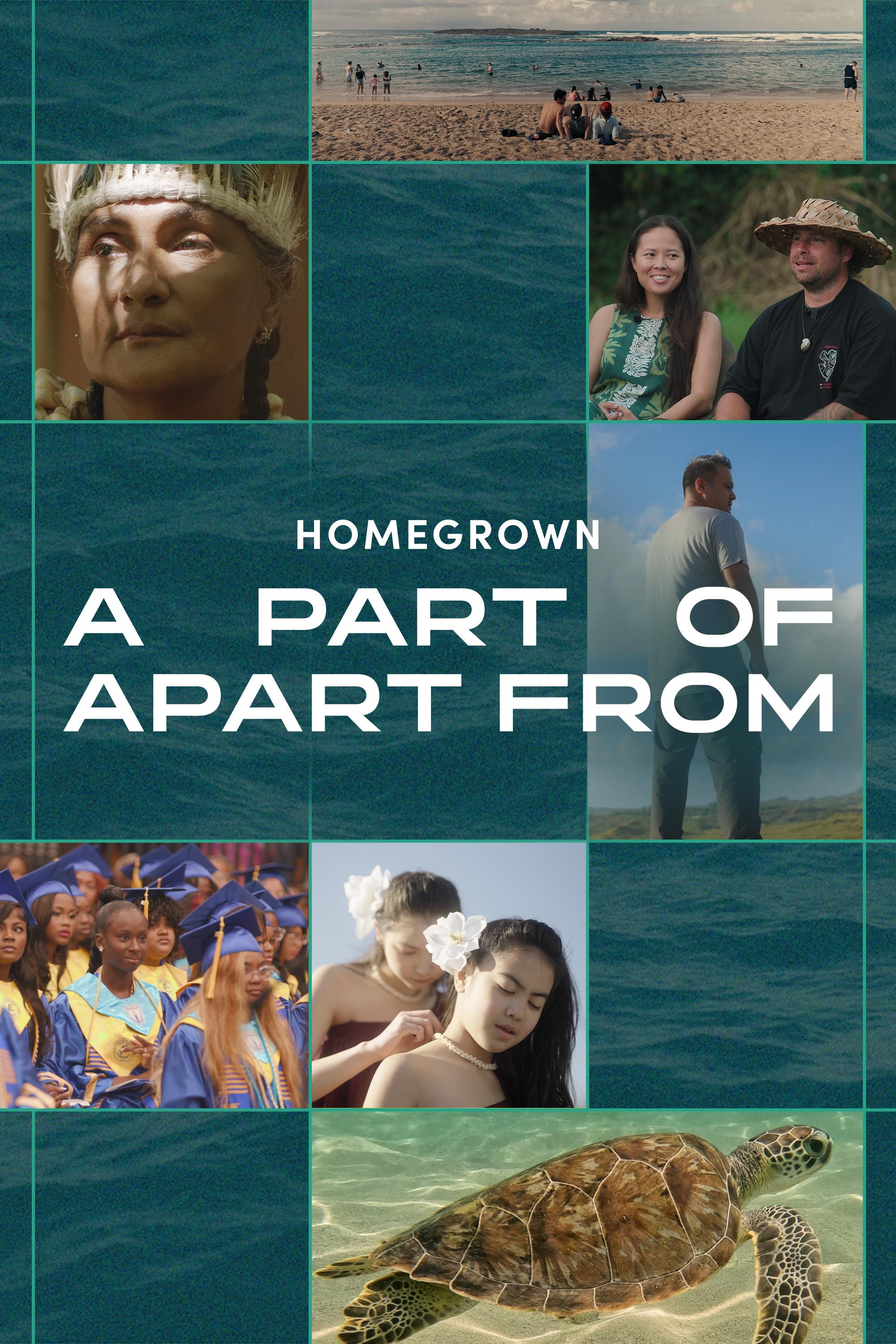 Homegrown: Documentary Shorts Collection show's poster