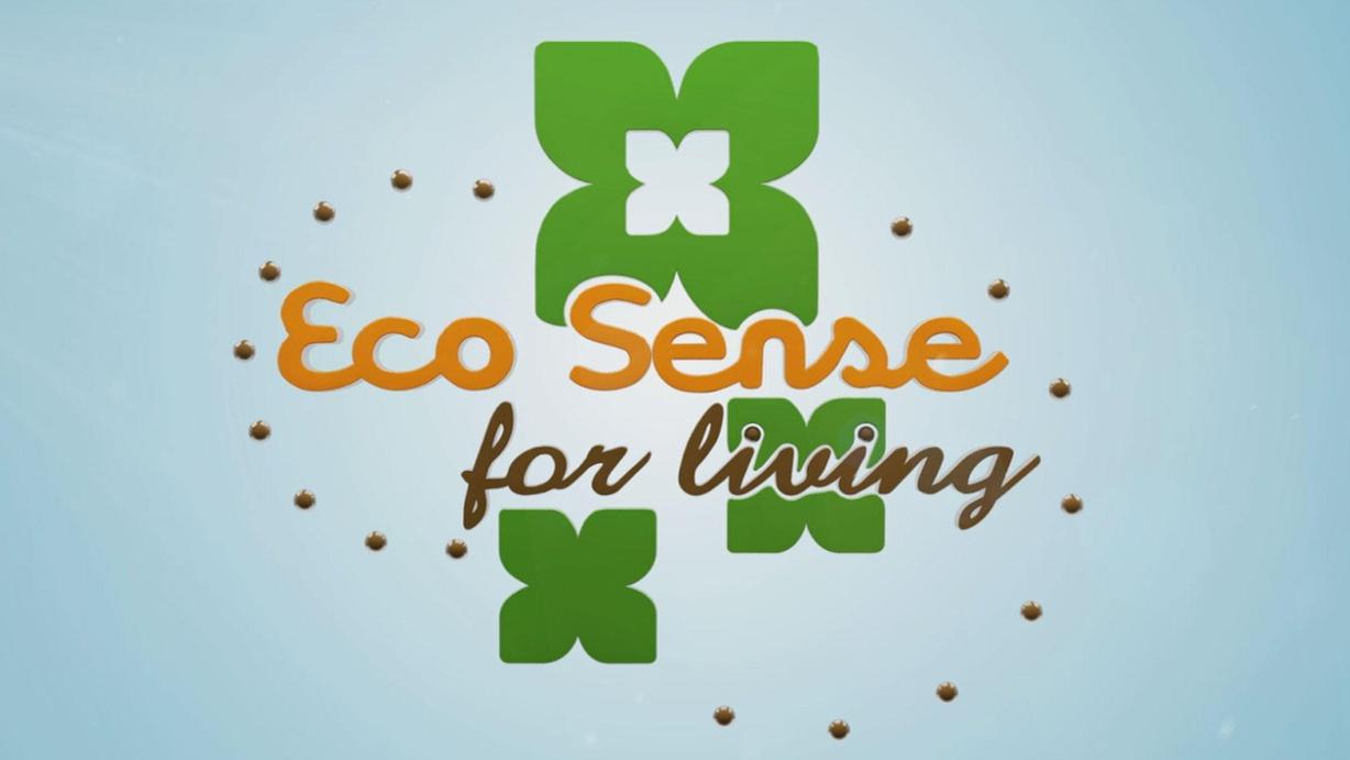EcoSense for Living