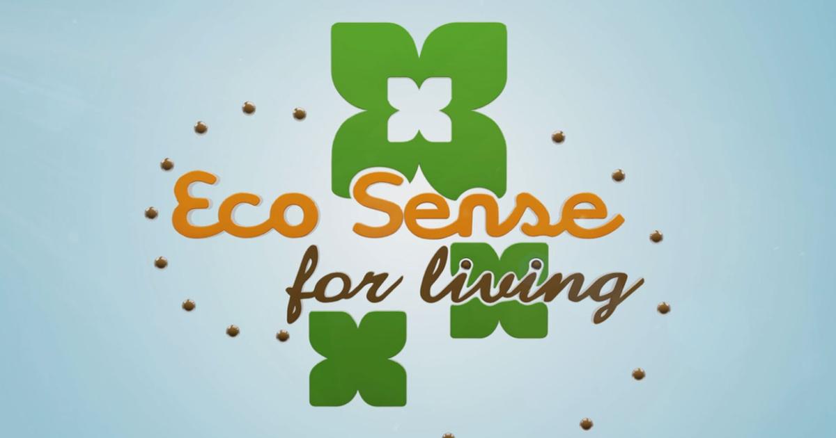 Eco-Sense Living