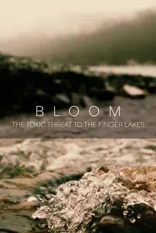 Bloom