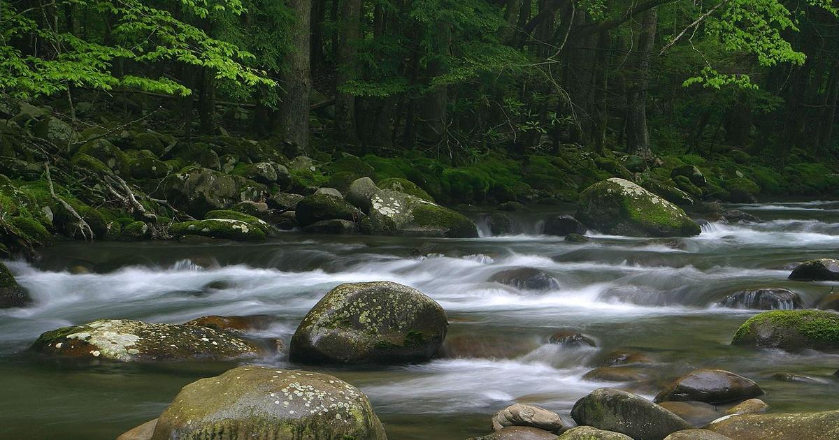 Beautiful Tennessee | PBS