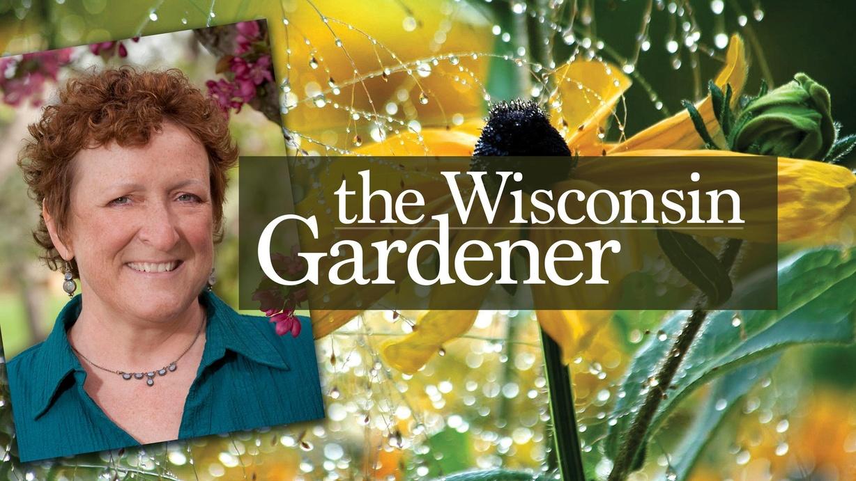 The Wisconsin Gardener