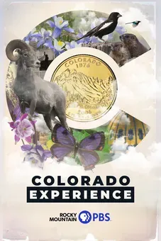 Colorado Experience