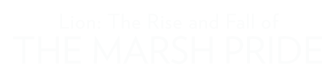 Lion: The Rise and Fall of the Marsh Pride