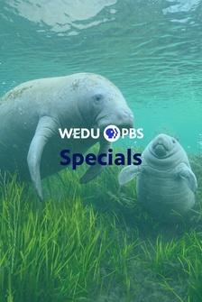 WEDU Specials