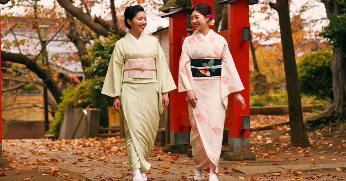 Kimono Truth PBS