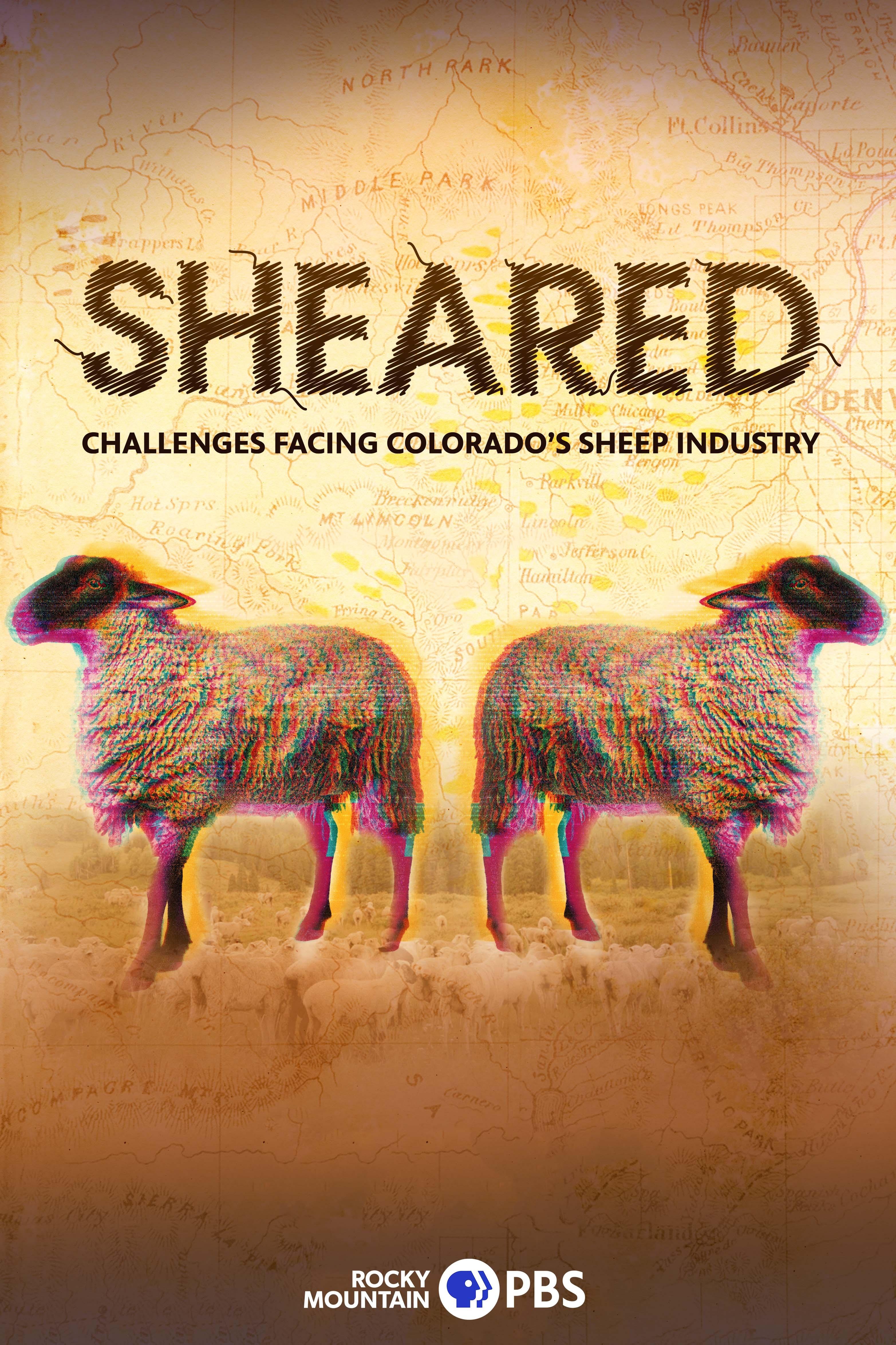 Sheared: Challenges Facing Colorado's Sheep Industry show's poster
