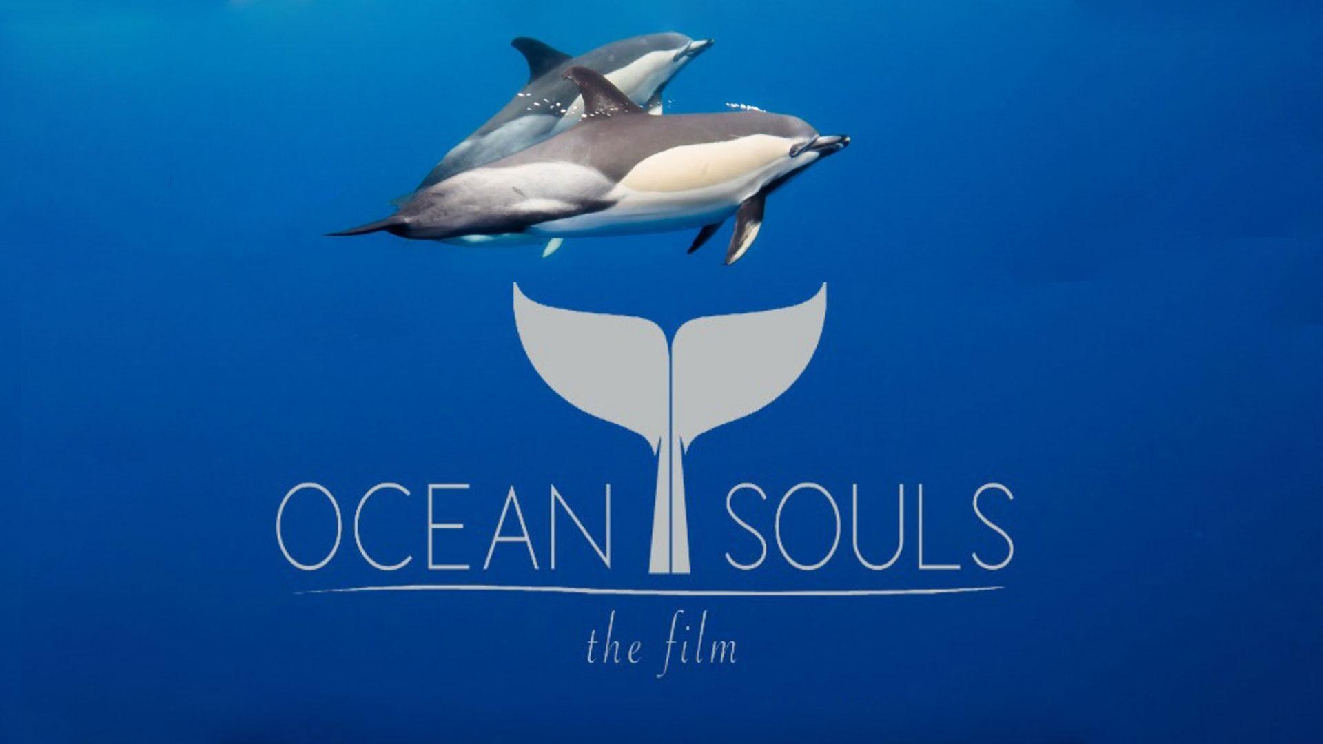 XqFeNl5-show-mezzanine16x9-