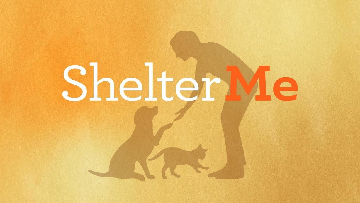 Shelter Me