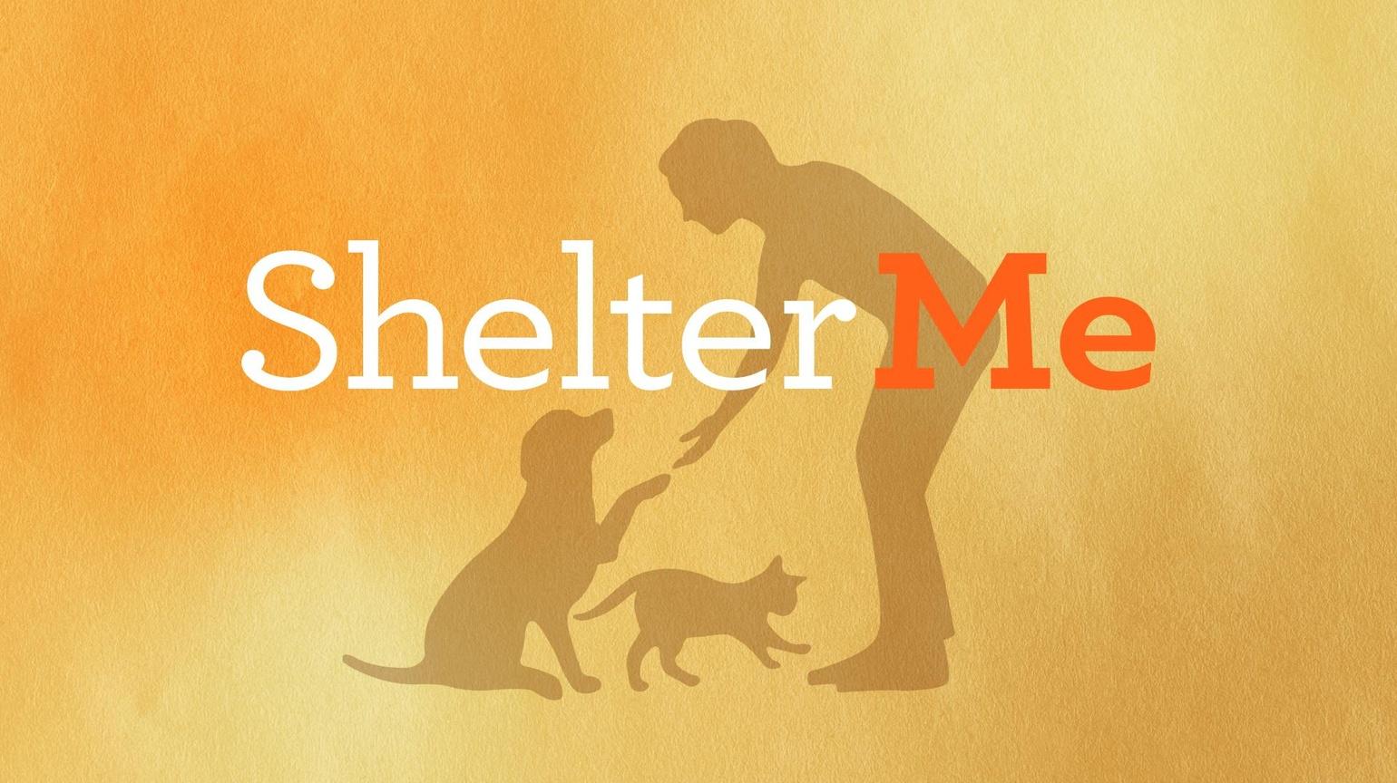 Shelter Me - Community Matters