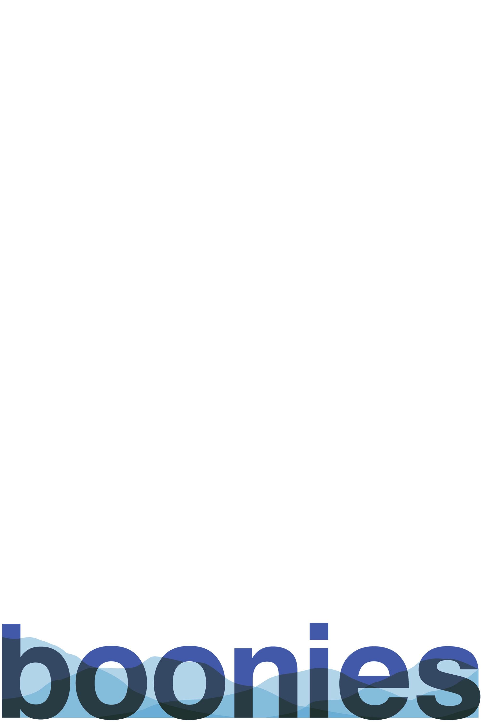 boonies show's poster