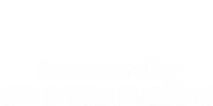 Understanding the Opioid Epidemic