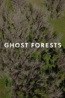 Ghost Forests