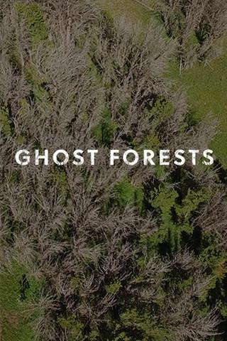 Poster image for Ghost Forests
