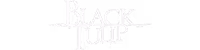 Black Tulip