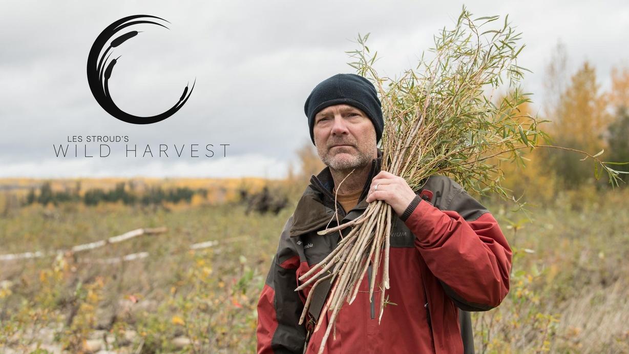 Les Stroud's Wild Harvest