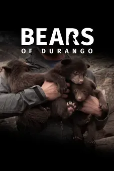 Bears of Durango