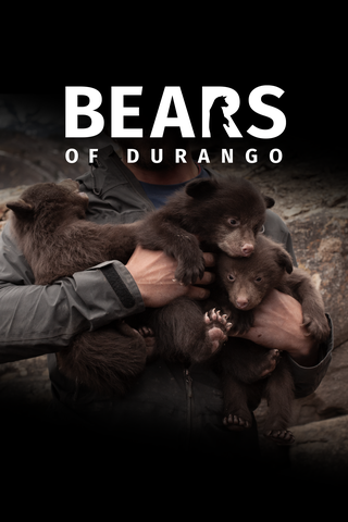 Poster image for Bears of Durango