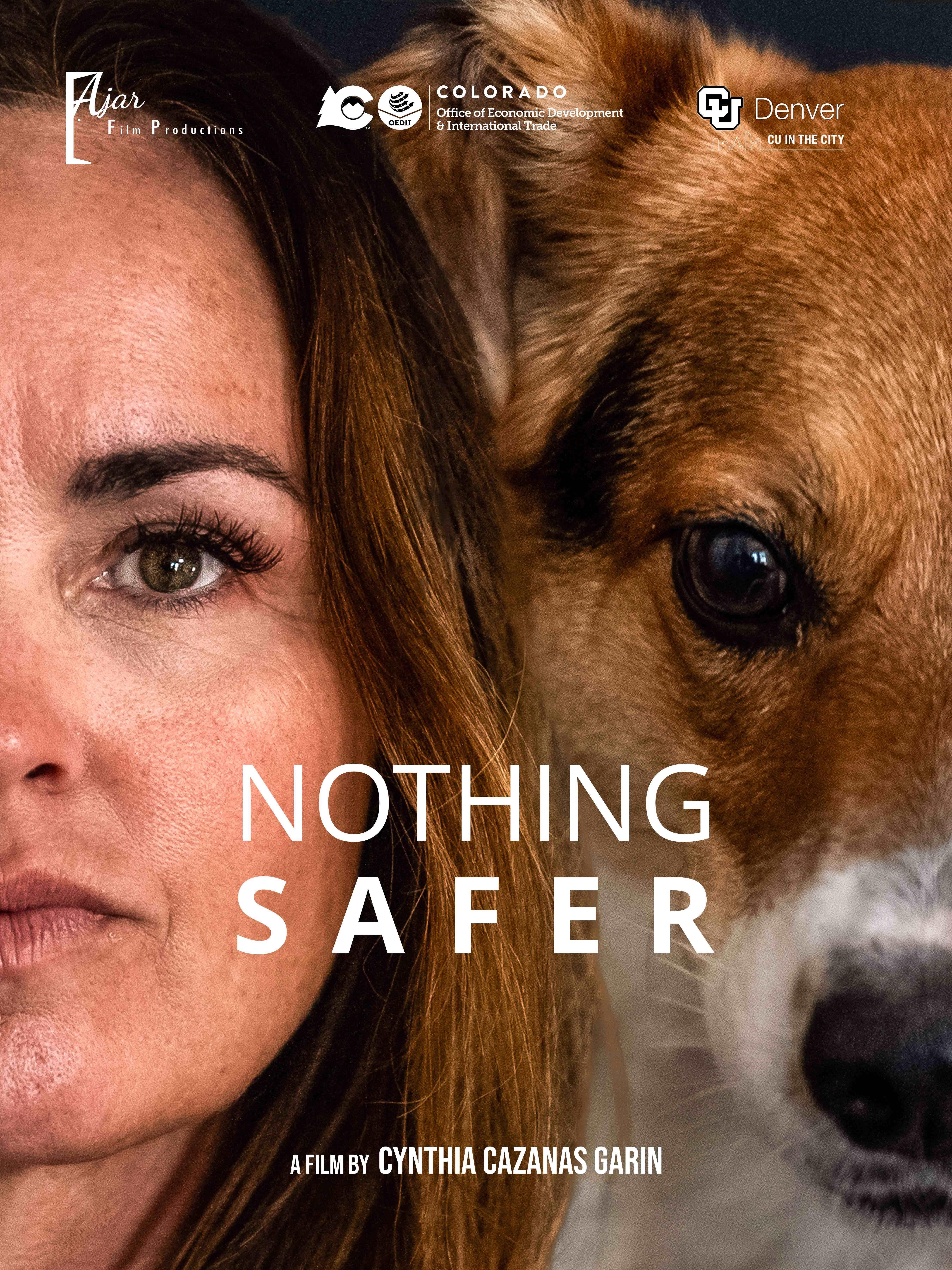 Nothing Safer show's poster