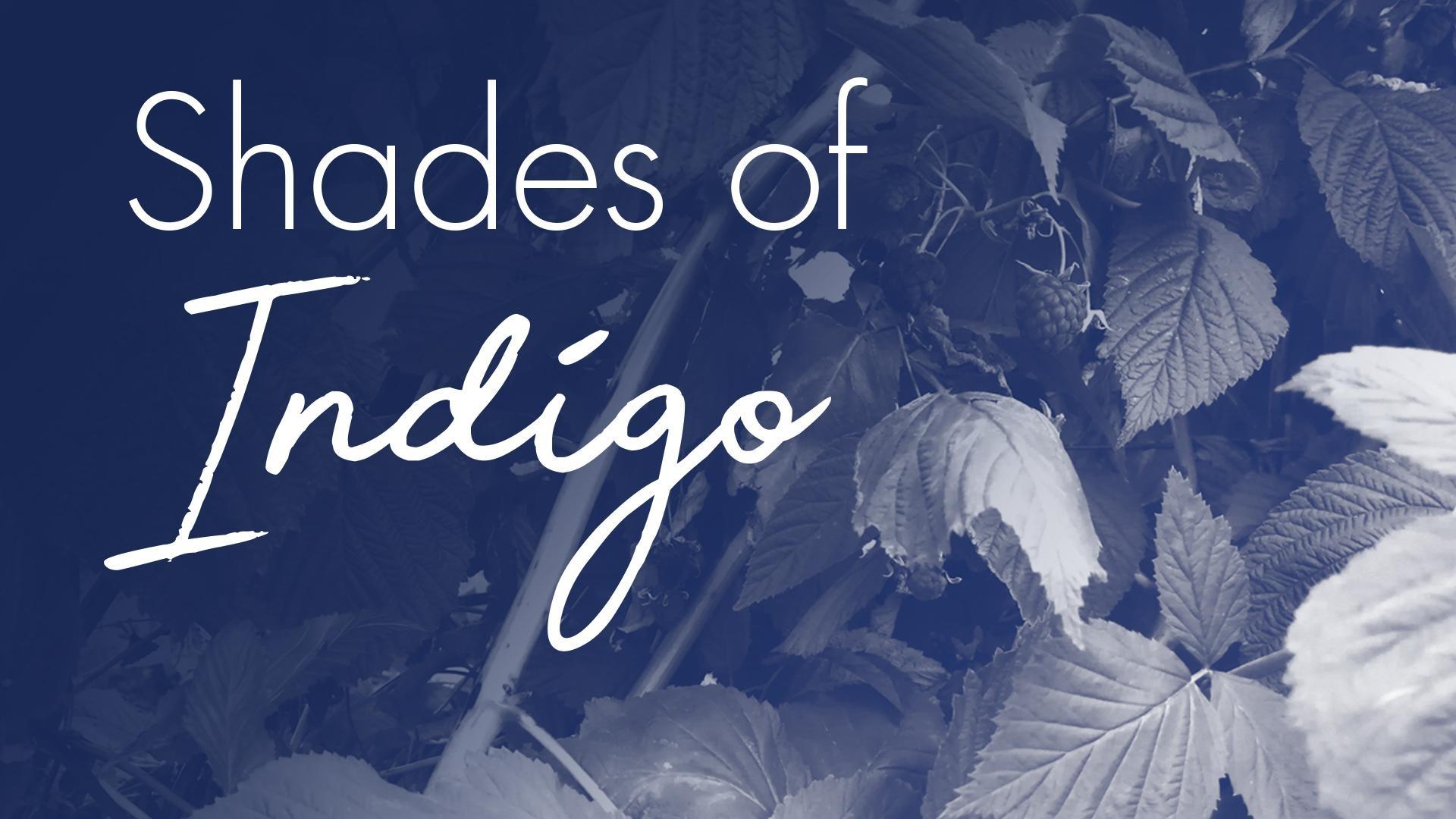 Shades of Indigo