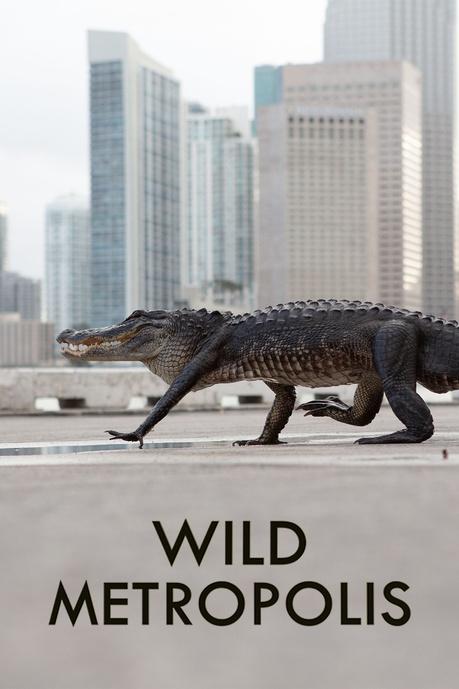 Wild Metropolis Poster