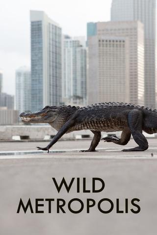 Poster image for Wild Metropolis