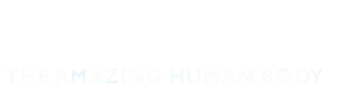 The Amazing Human Body