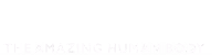 The Amazing Human Body