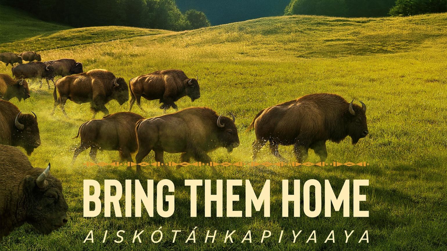 Bring Them Home