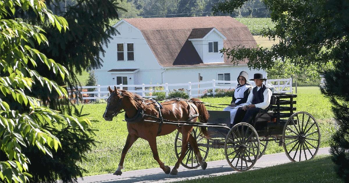 The Amish Dilemma | PBS