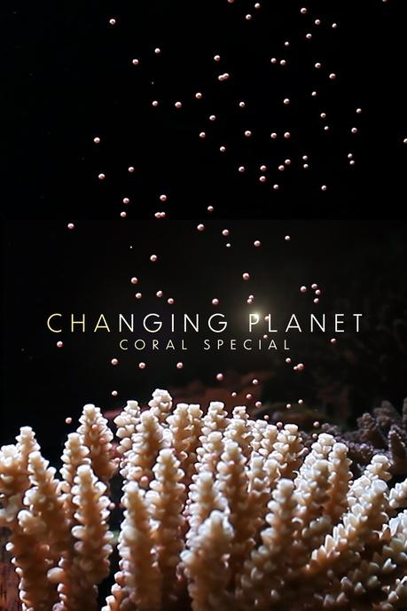 Changing Planet Poster