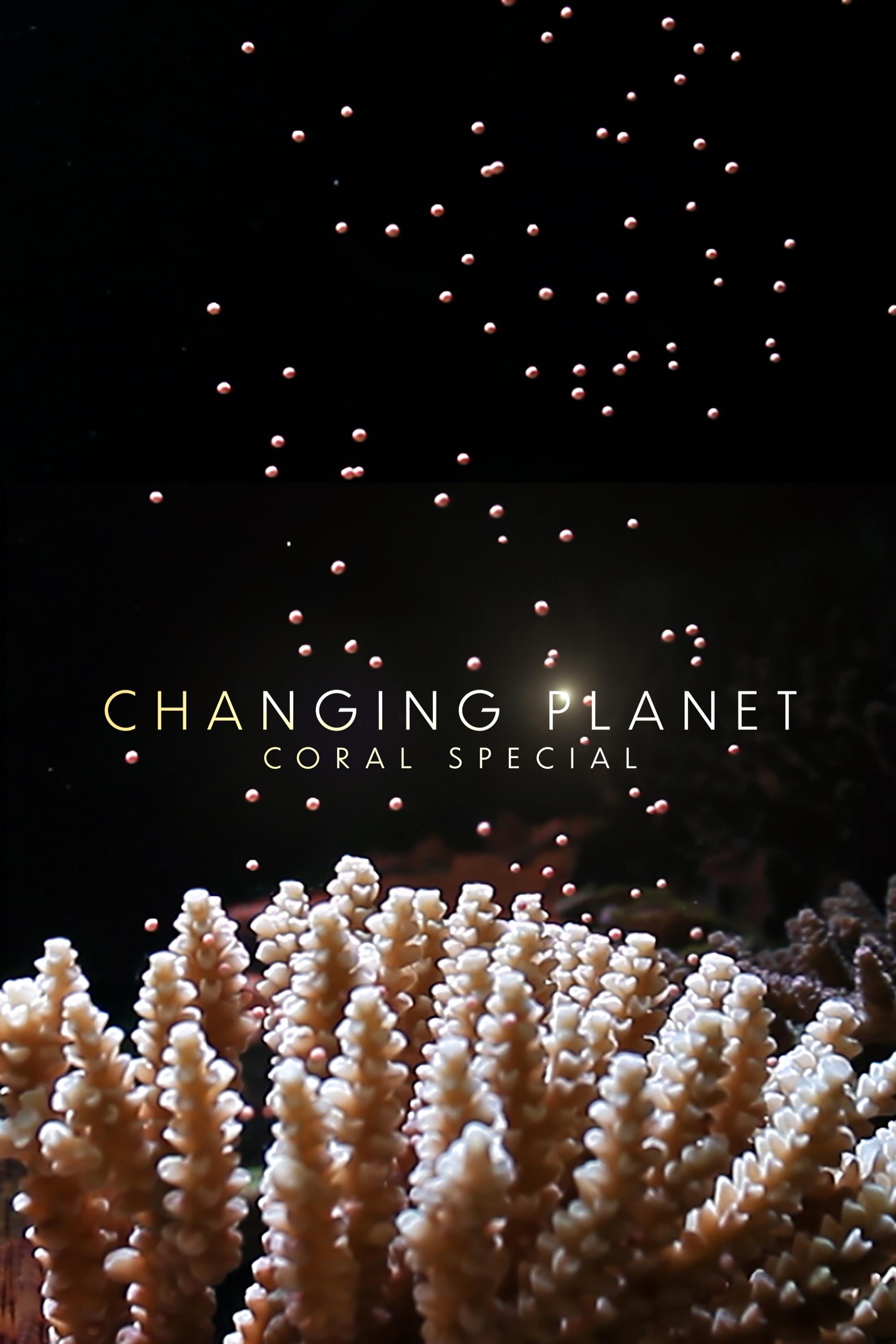 Changing Planet show's poster