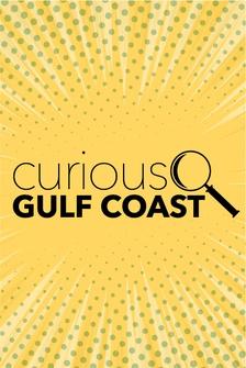 Curious Gulf Coast