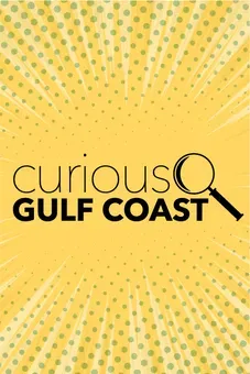 Curious Gulf Coast