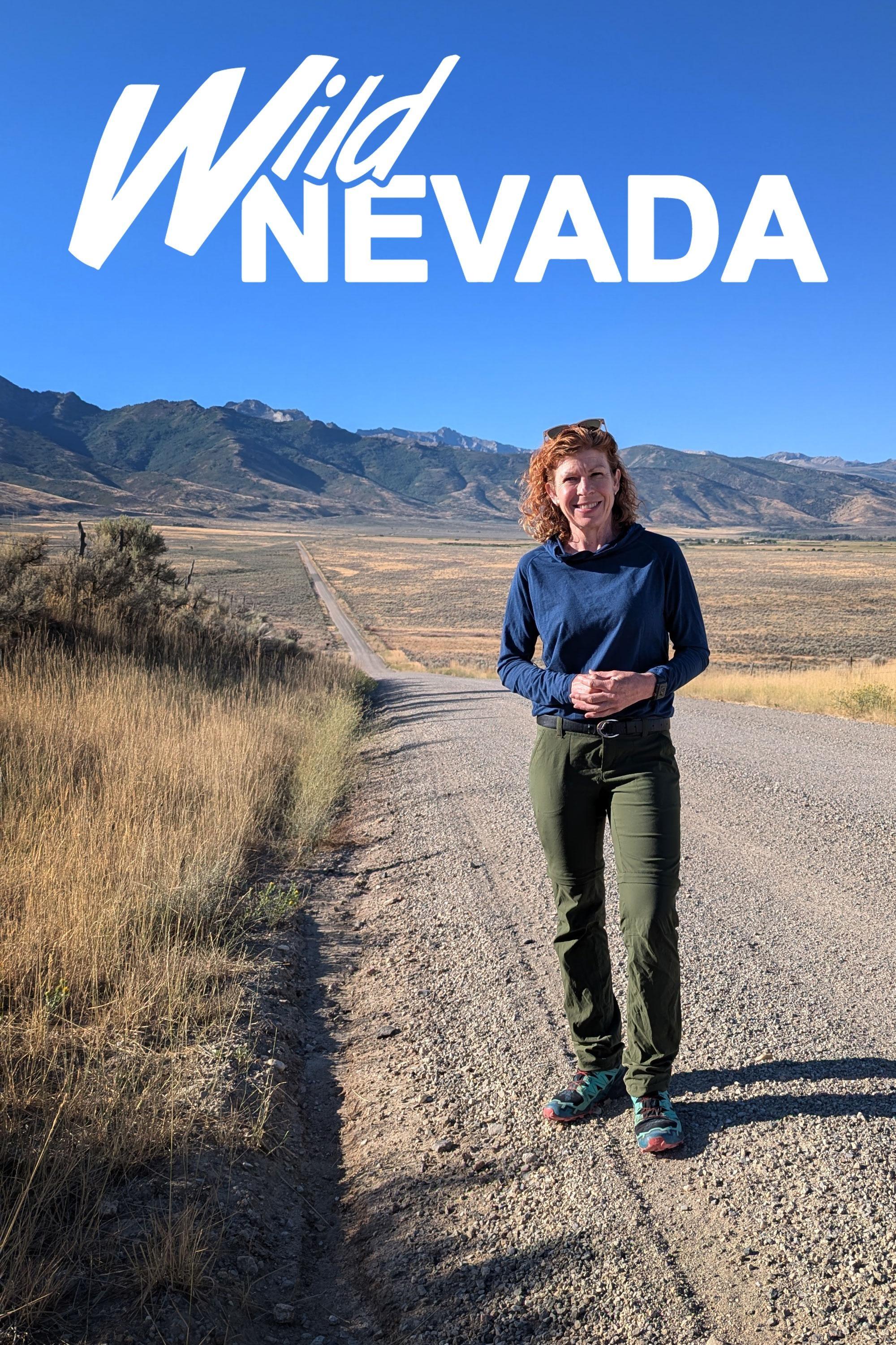 Wild Nevada show's poster