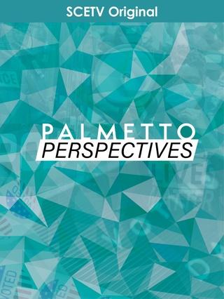 Palmetto Perspectives: show-poster2x3