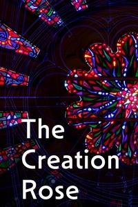The Creation Rose | The Creation Rose