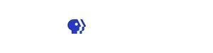 Austin PBS Specials