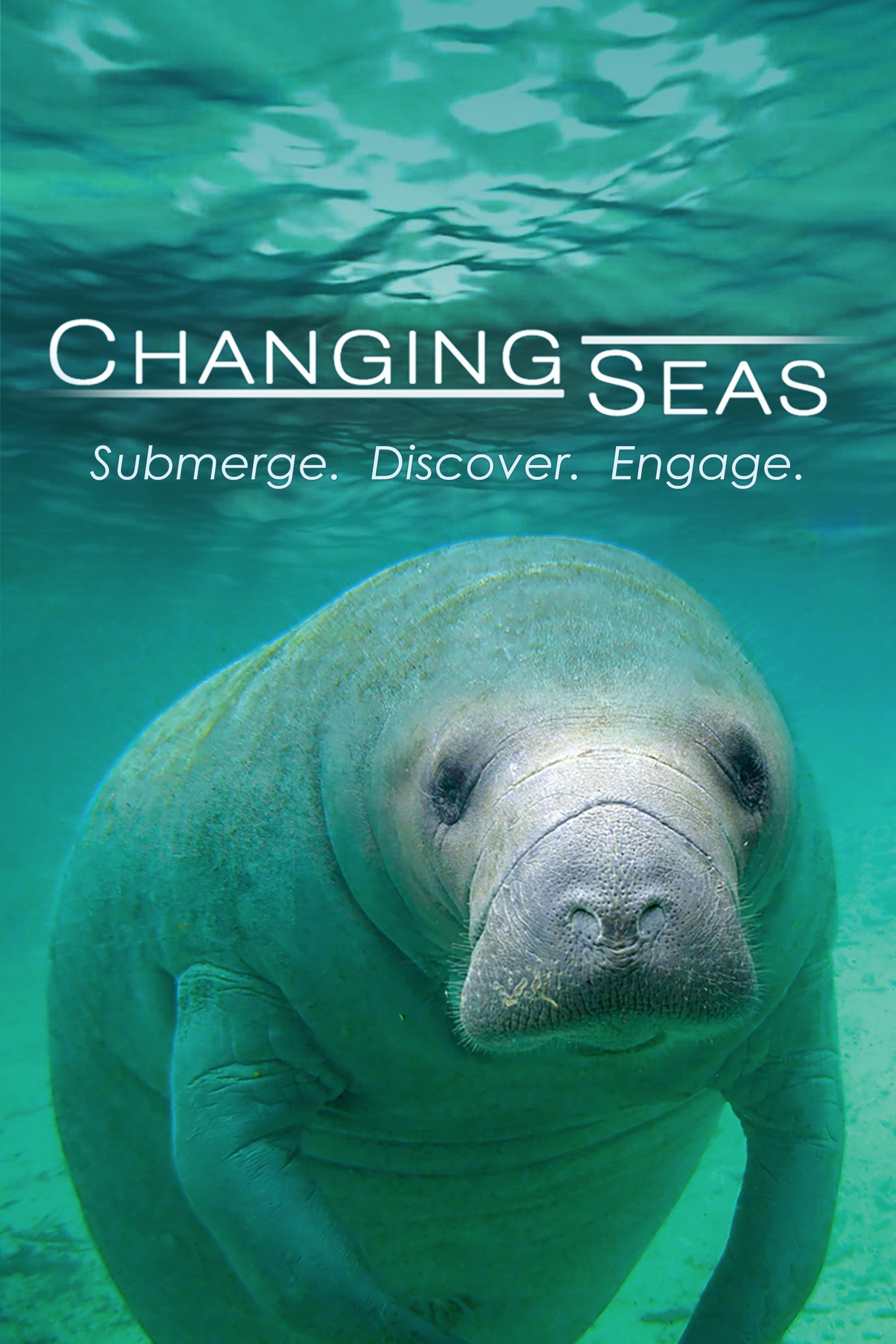Changing Seas show's poster