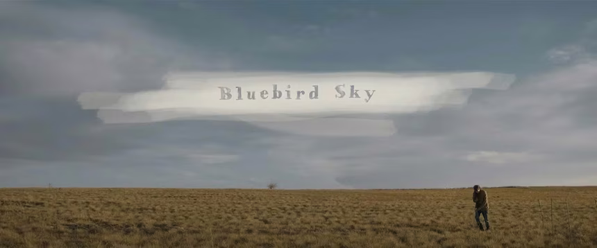 Bluebird Sky