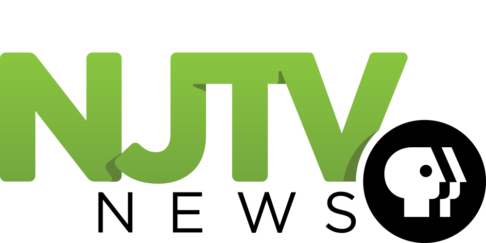 Image result for njtv logo