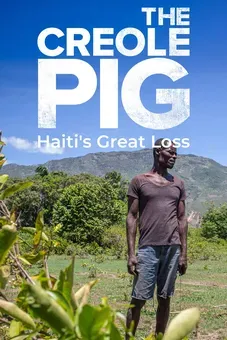 The Creole Pig: Haiti's Great Loss