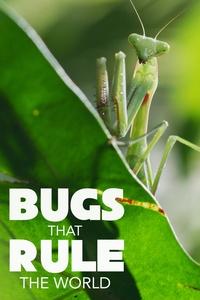 Bugs That Rule the Worldhttps://image.pbs.org/video-assets/fUqCDY6-asset-mezzanine-16x9-FozCrGS.jpg.fit.160x120.jpg